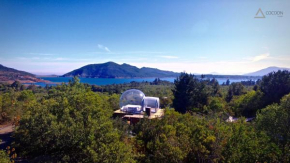 Cocoon Bubble Lodge